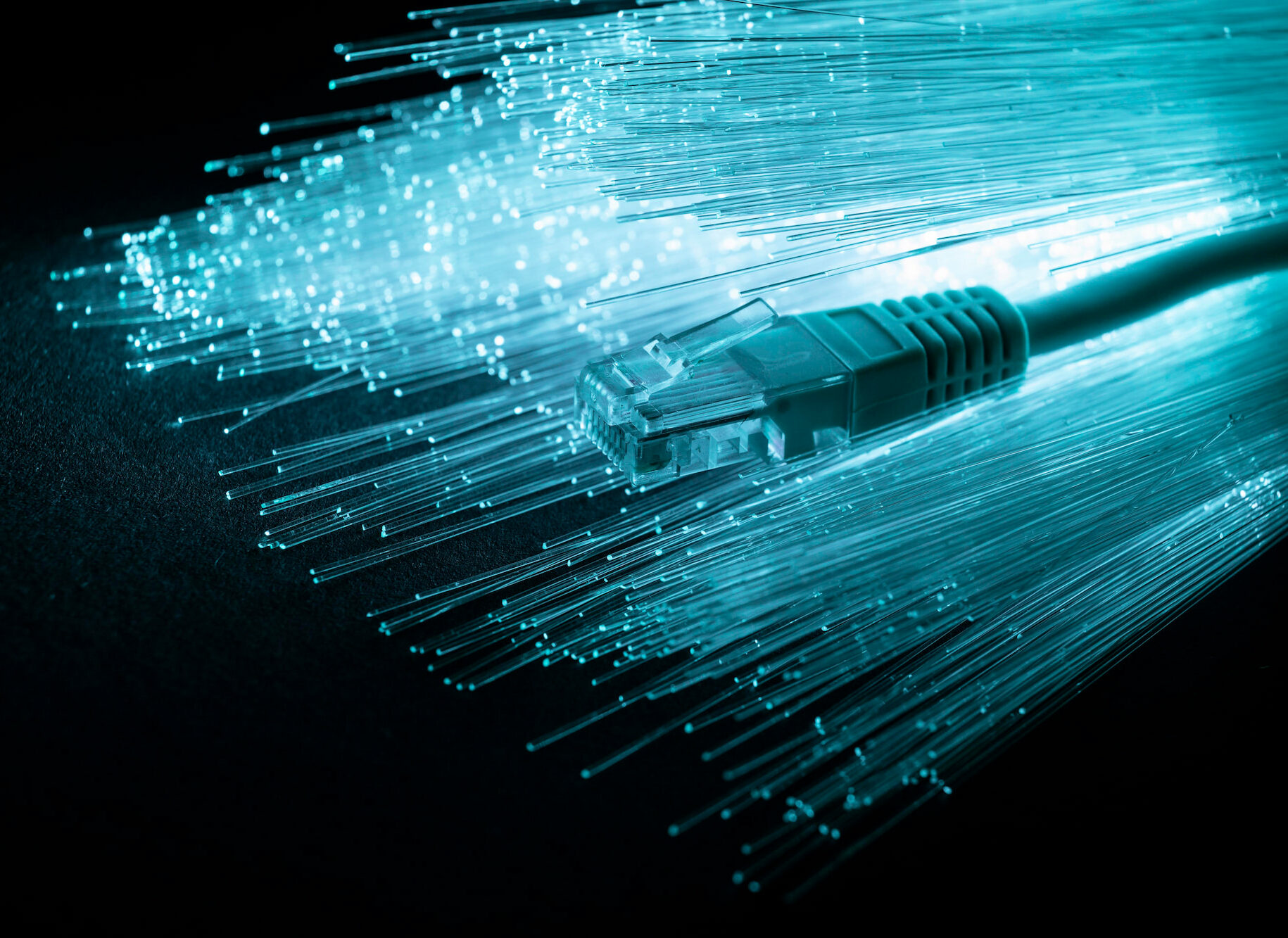 Primer plano de un cable Ethernet con cables internos iluminados, sugiriendo la tecnología de fibra óptica.